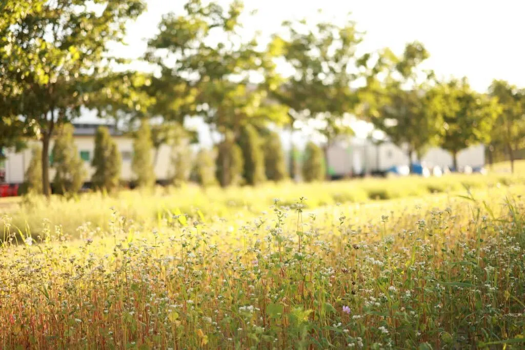 낙동강체육공원 사진 9