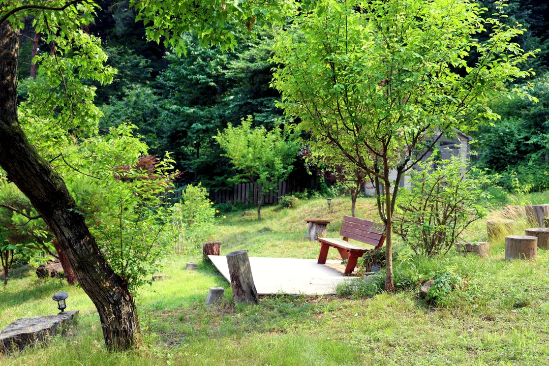 Robuje photo 21