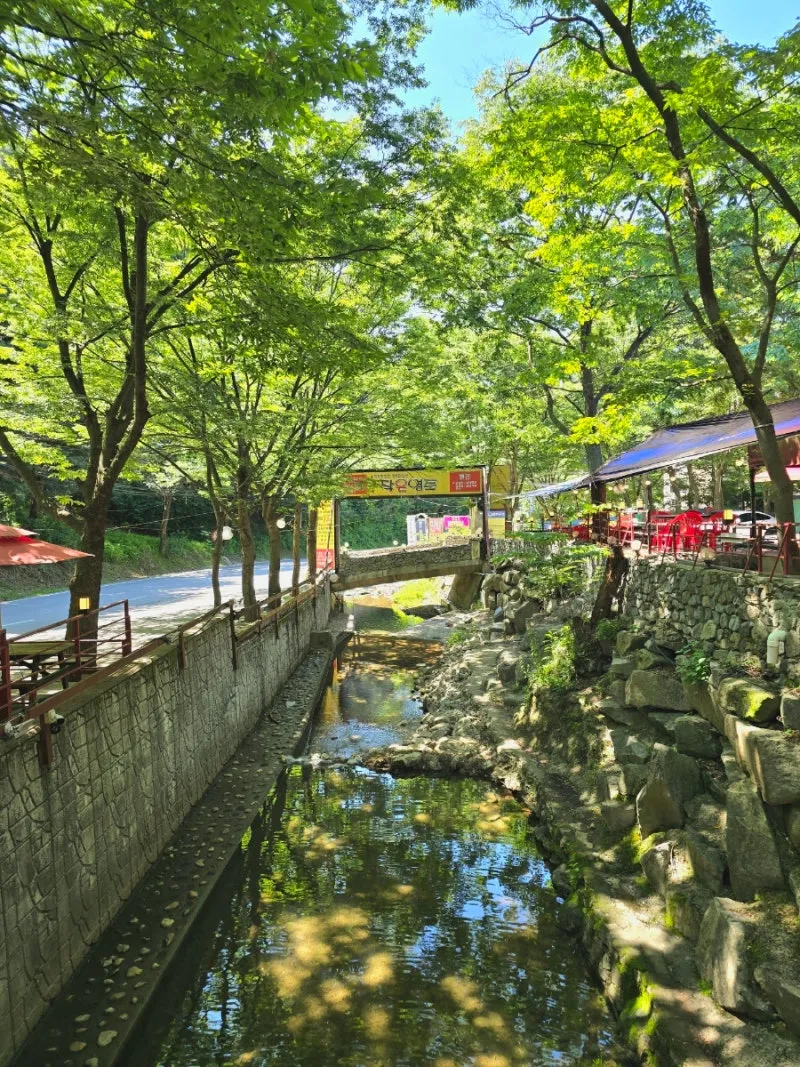 작은영토 사진 6