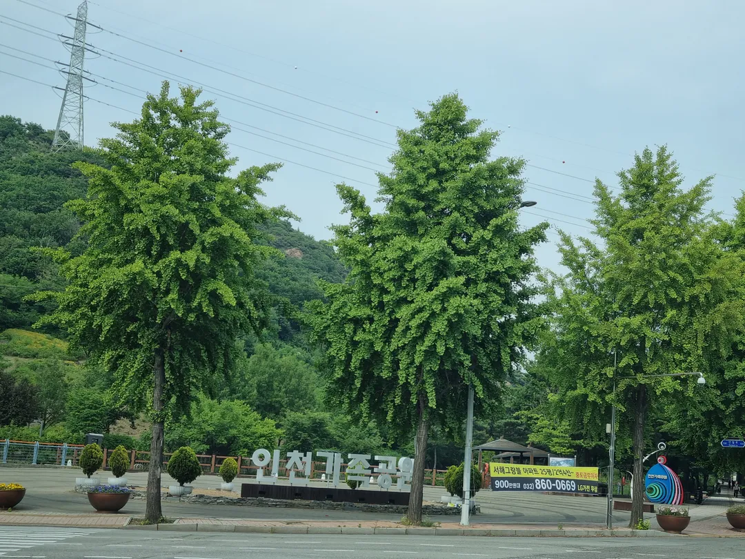 인천가족공원 사진 7