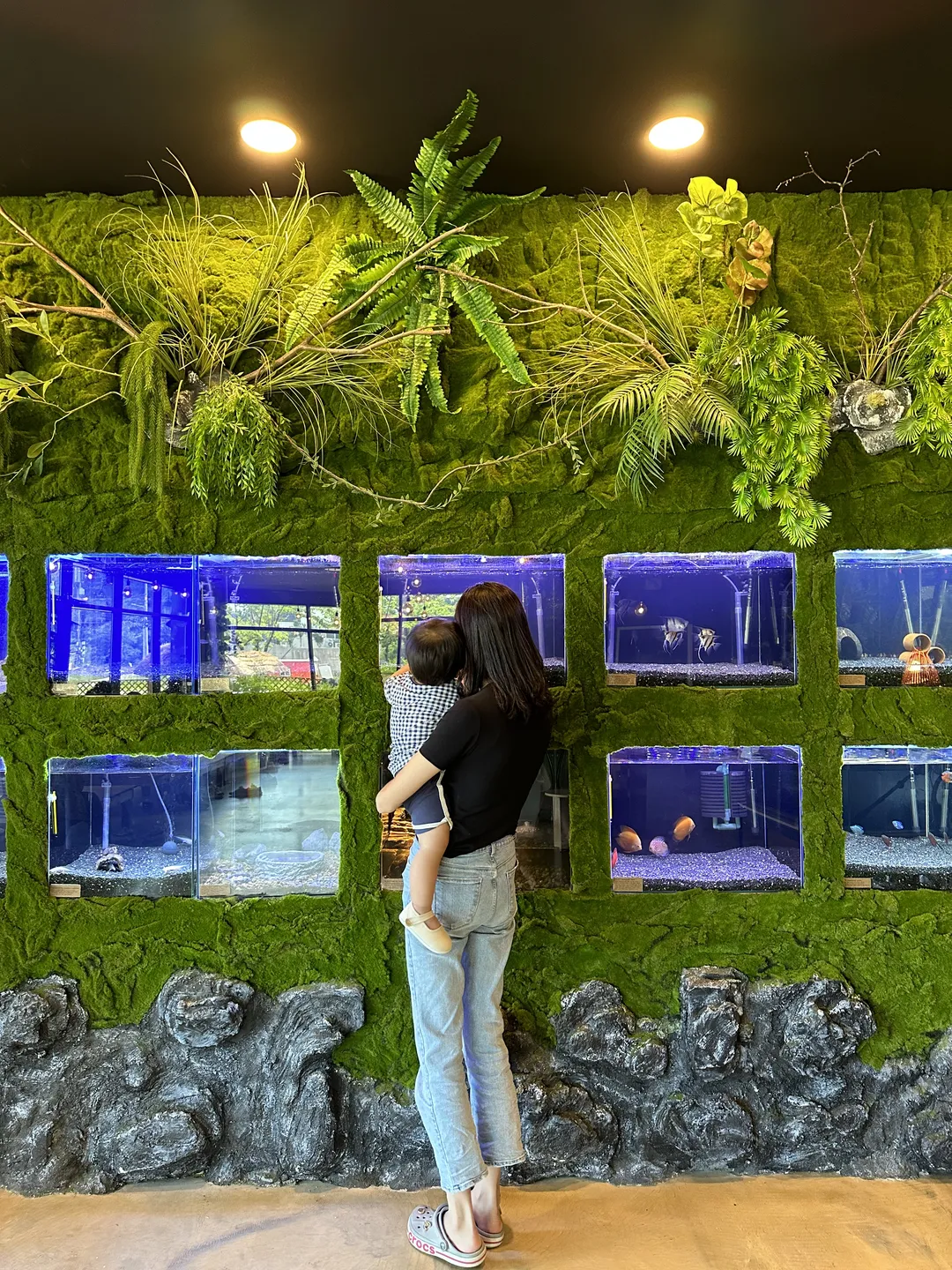 아쿠아숲 속초