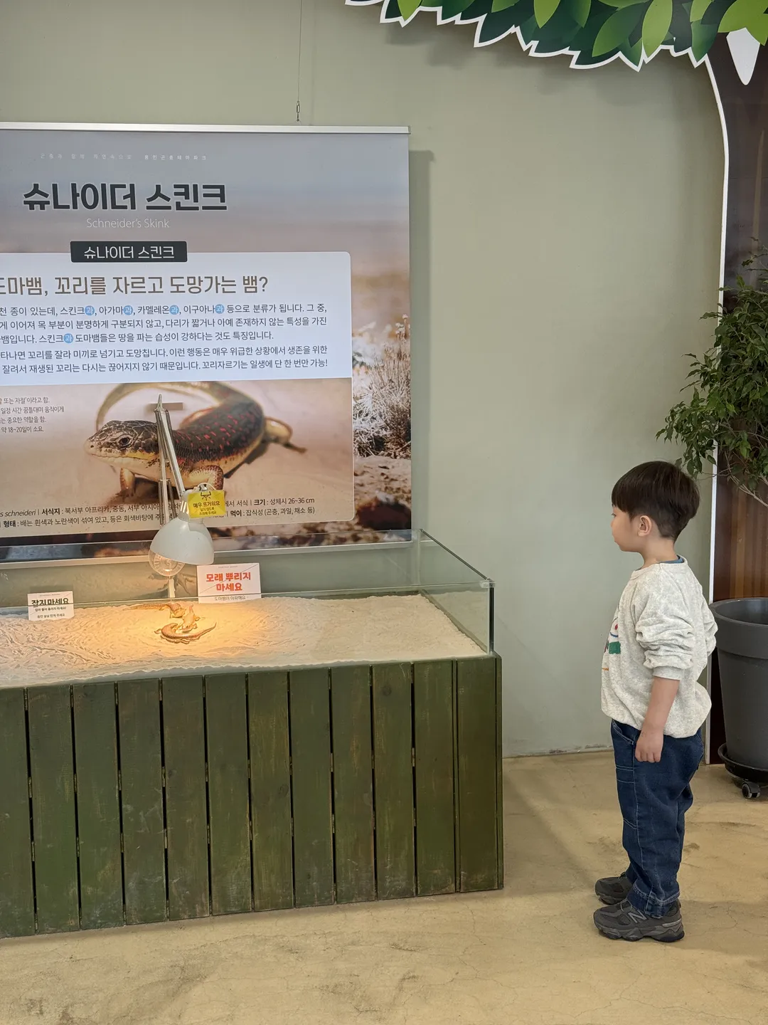 용인곤충테마파크