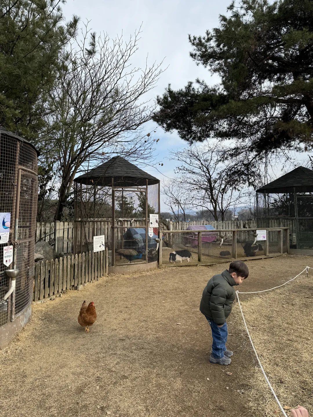 용인곤충테마파크