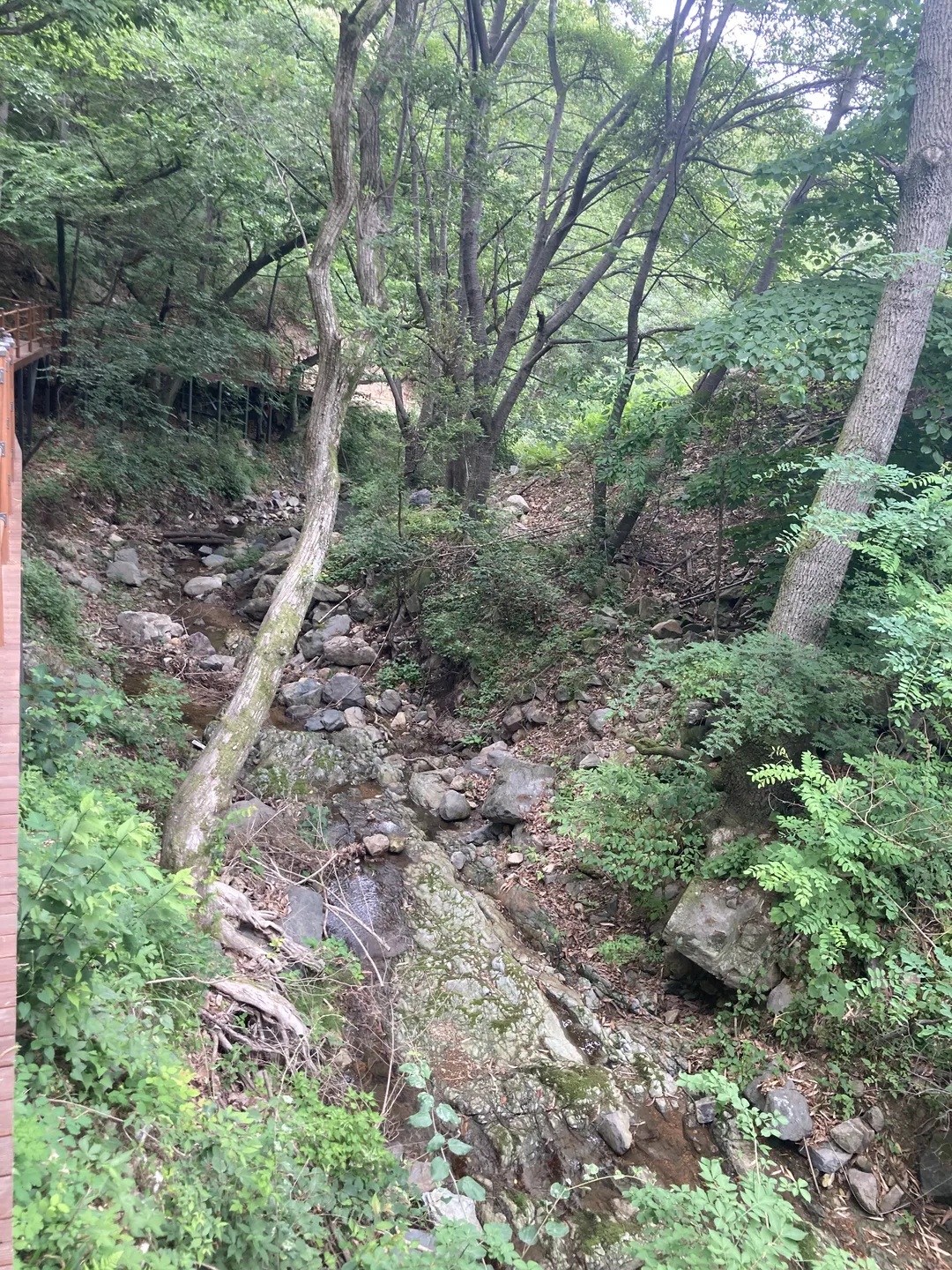 청계사 사진 10