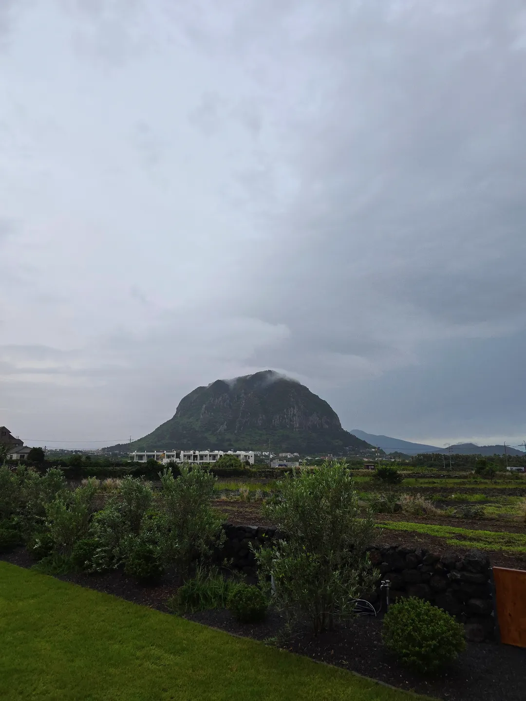 제주가족의시간 사진 45