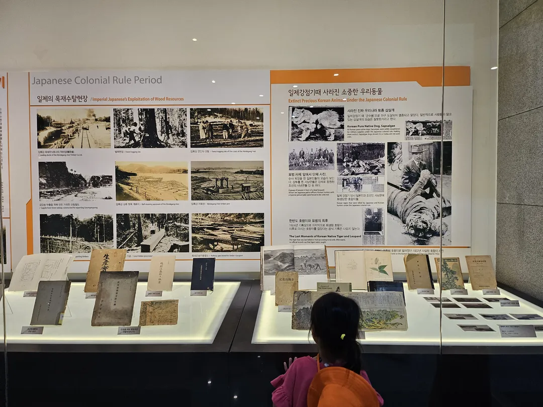 National Arboretum Forest Museum photo 9