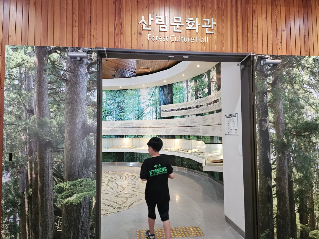 National Arboretum Forest Museum photo 7