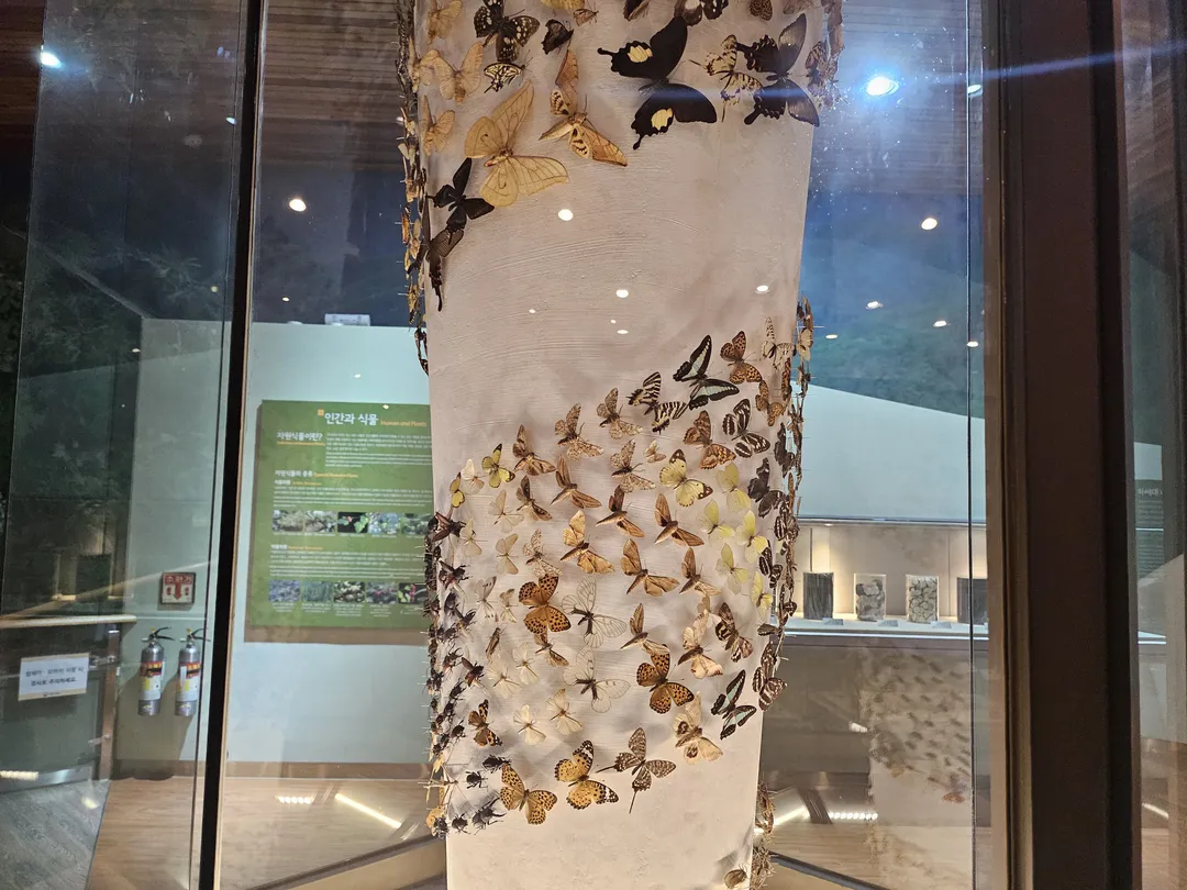 National Arboretum Forest Museum photo 27