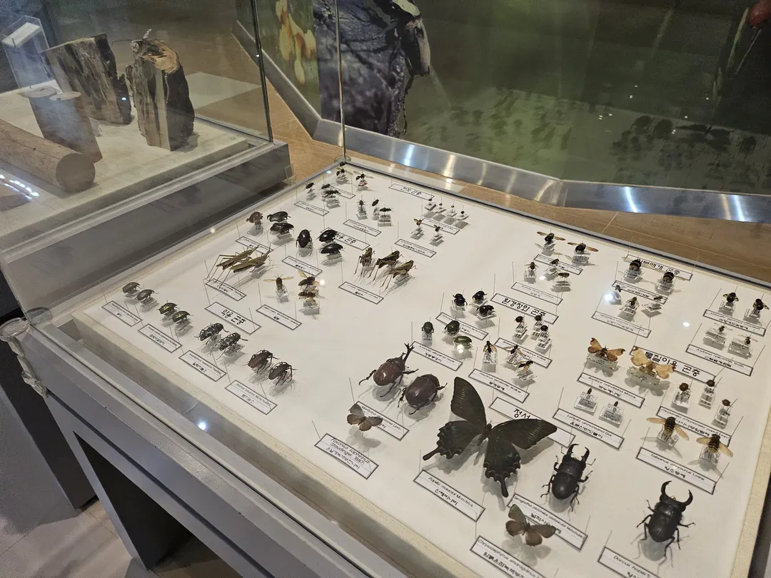 National Arboretum Forest Museum photo 26