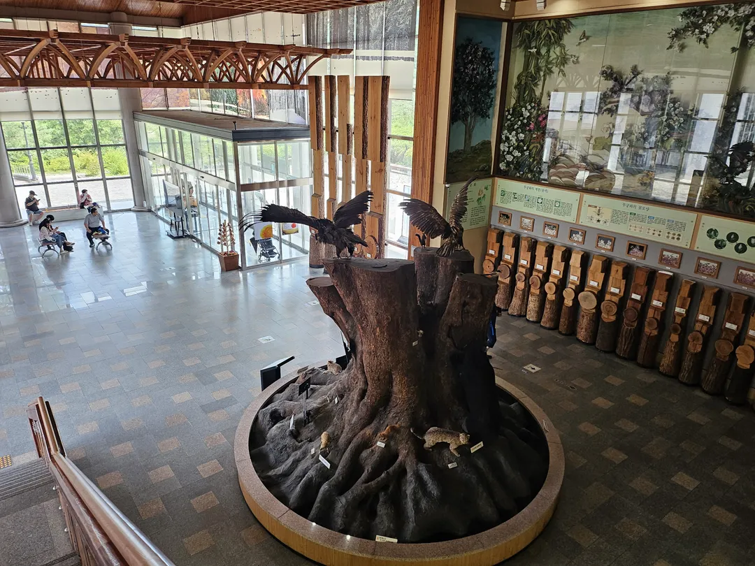National Arboretum Forest Museum photo 18