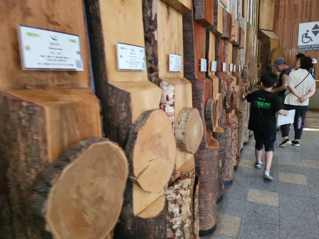 National Arboretum Forest Museum photo 15