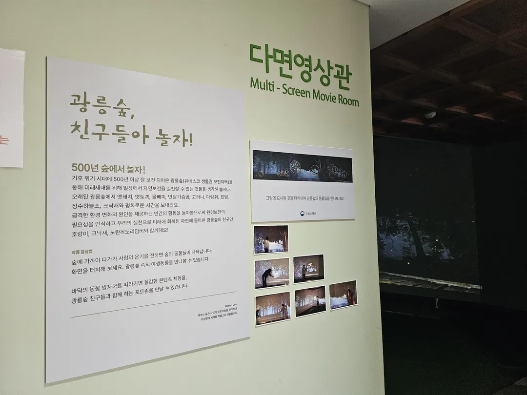 National Arboretum Forest Museum photo 24