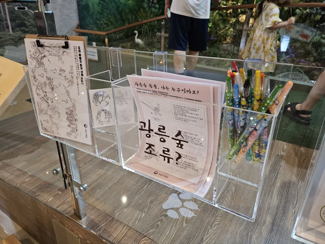 National Arboretum Forest Museum photo 28