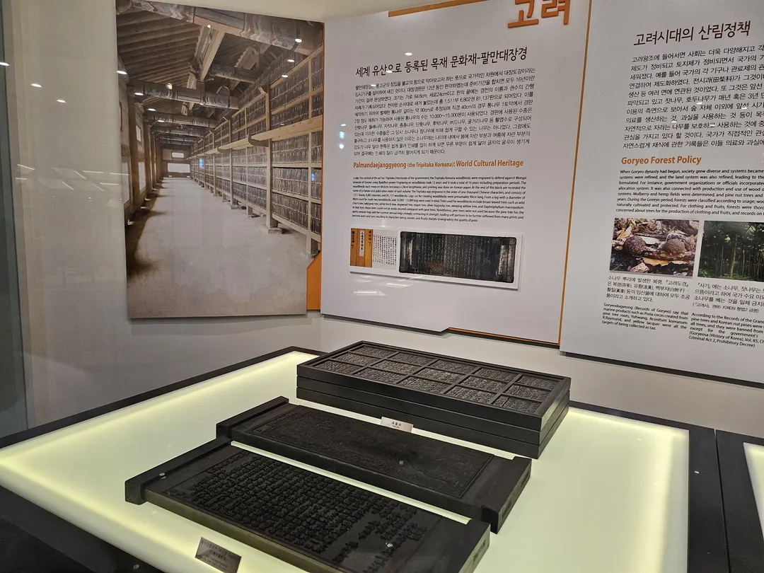 National Arboretum Forest Museum photo 21
