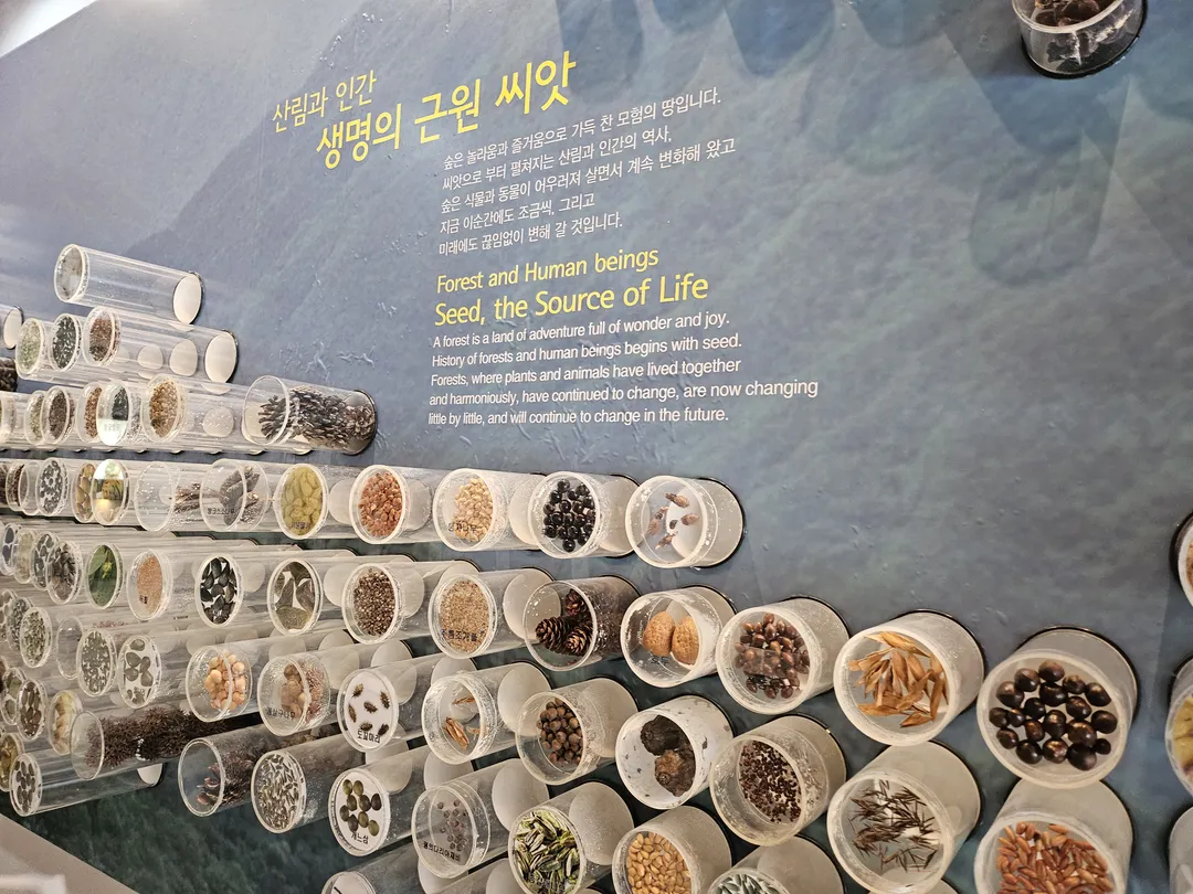 National Arboretum Forest Museum photo 10