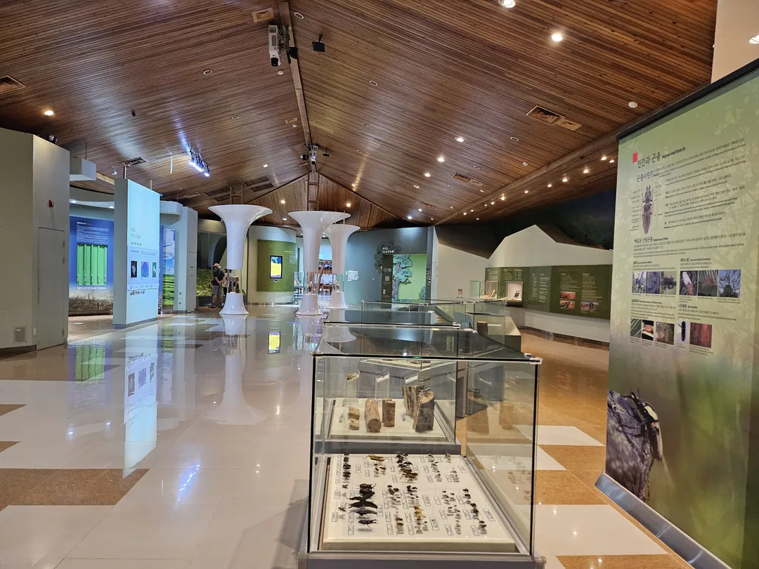 National Arboretum Forest Museum photo 25