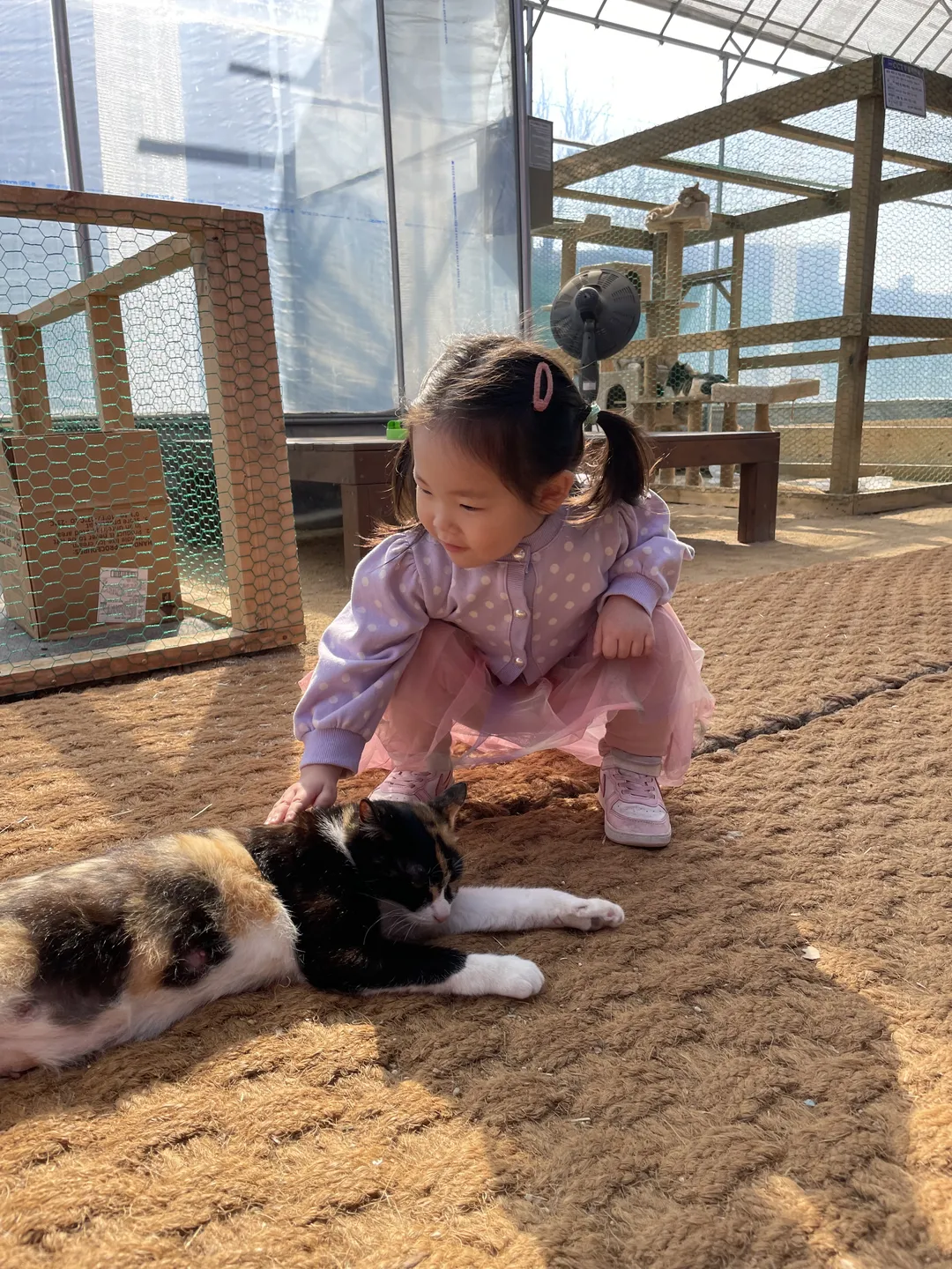 꼬꼬체험관 사진 21