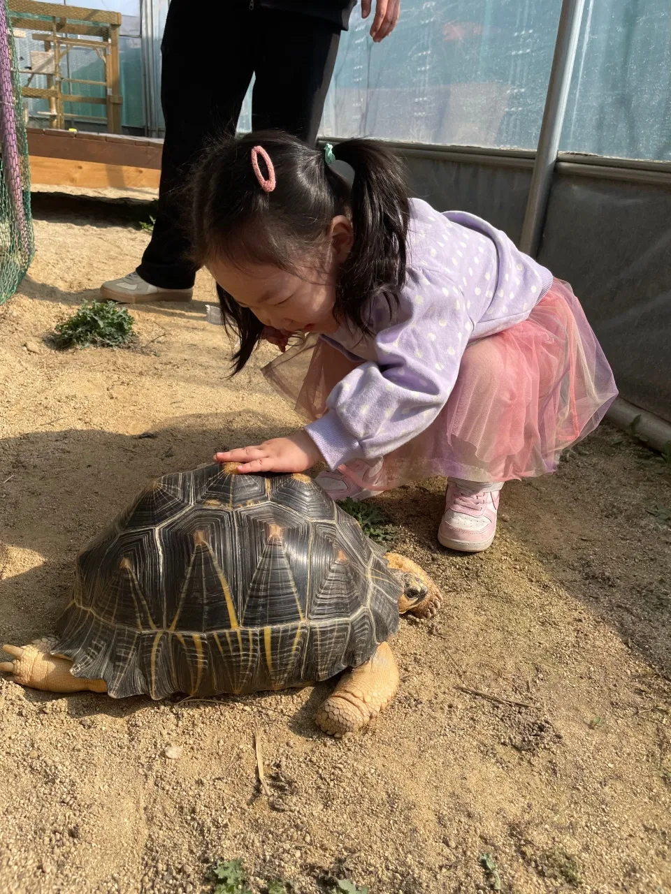 꼬꼬체험관 사진 12