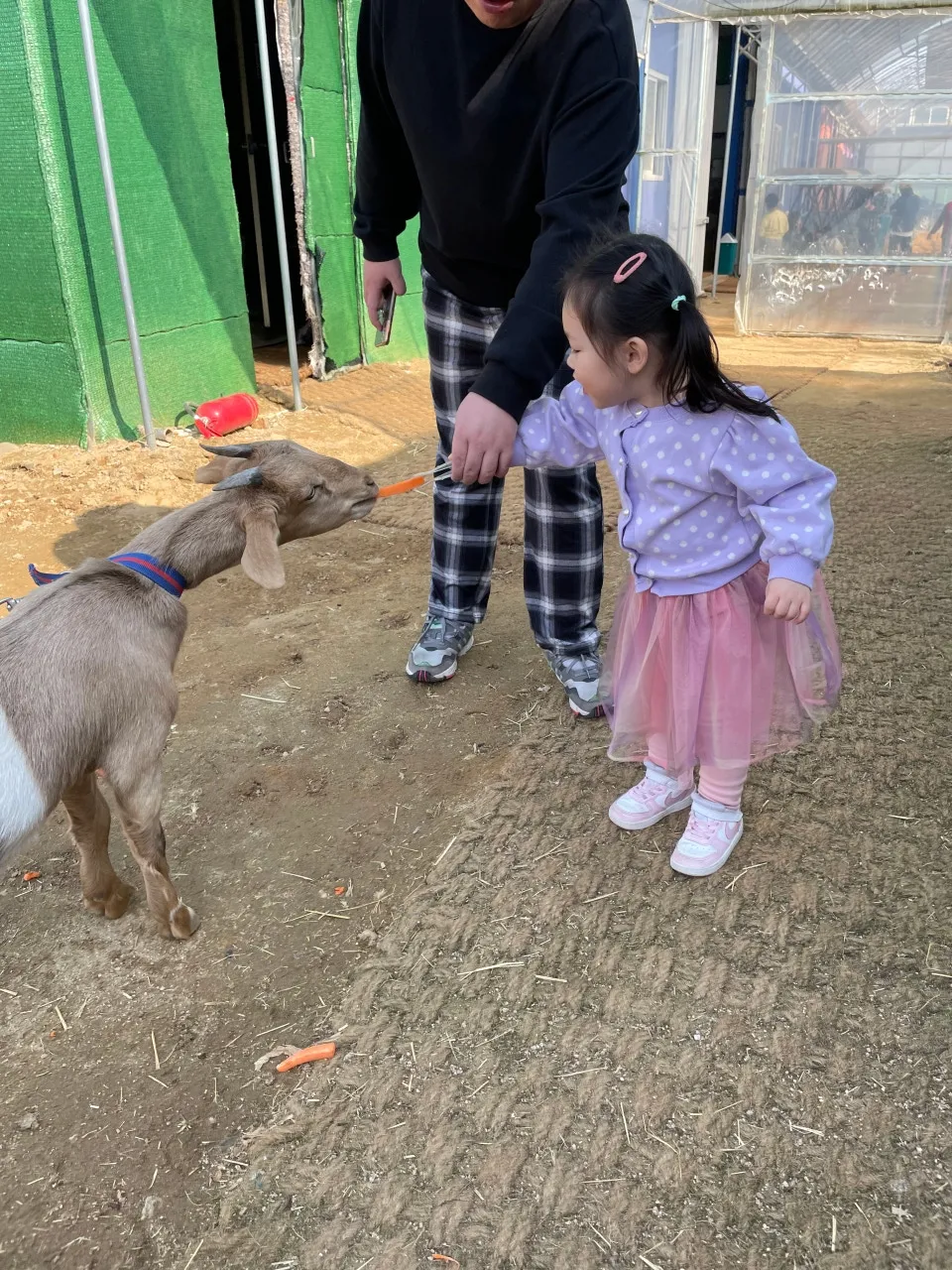꼬꼬체험관 사진 15