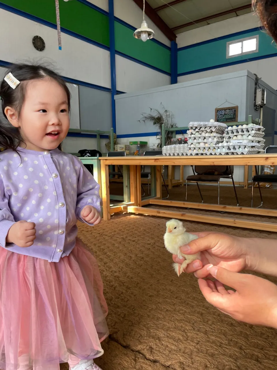 꼬꼬체험관 사진 6