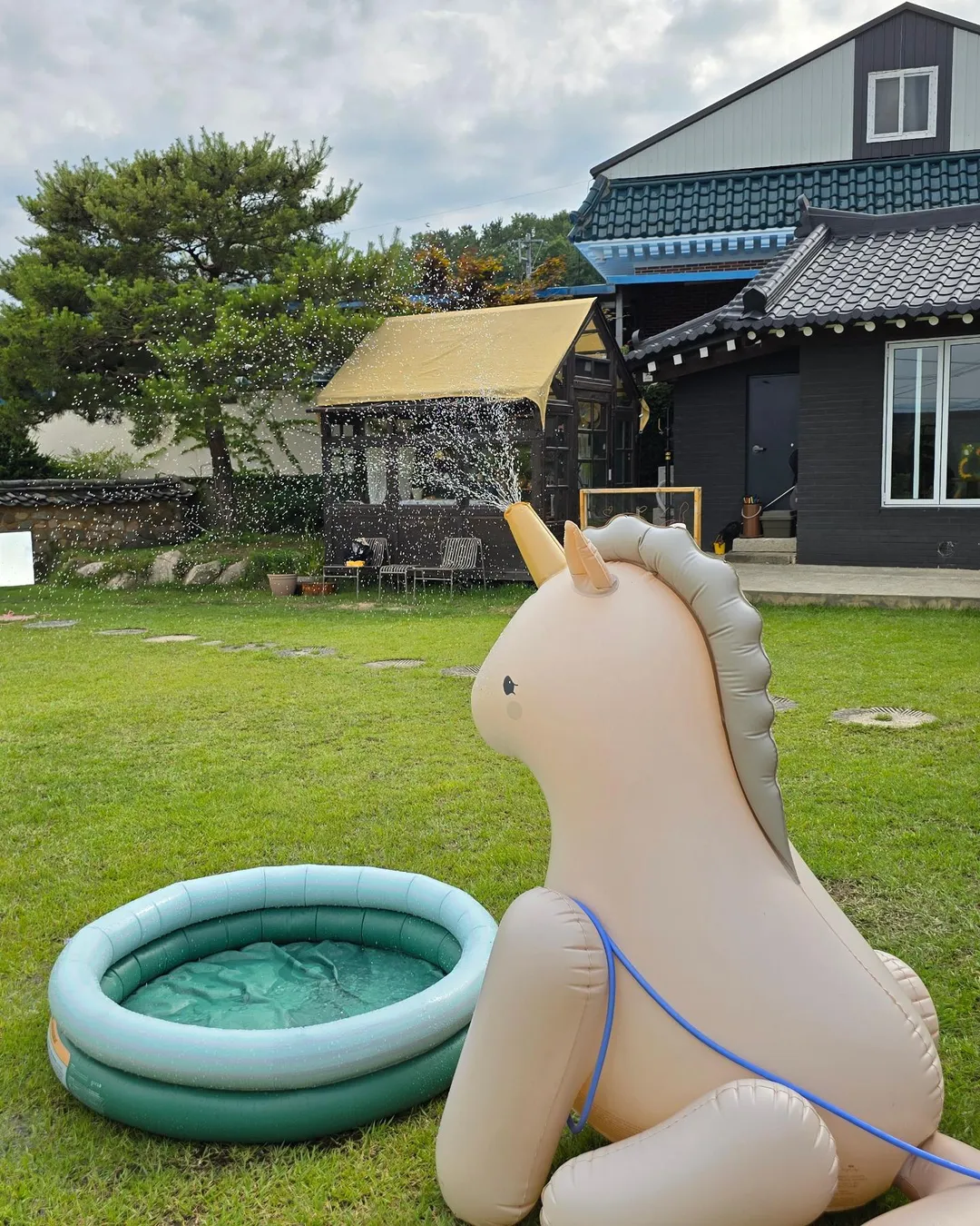 스테이낮선 사진 6