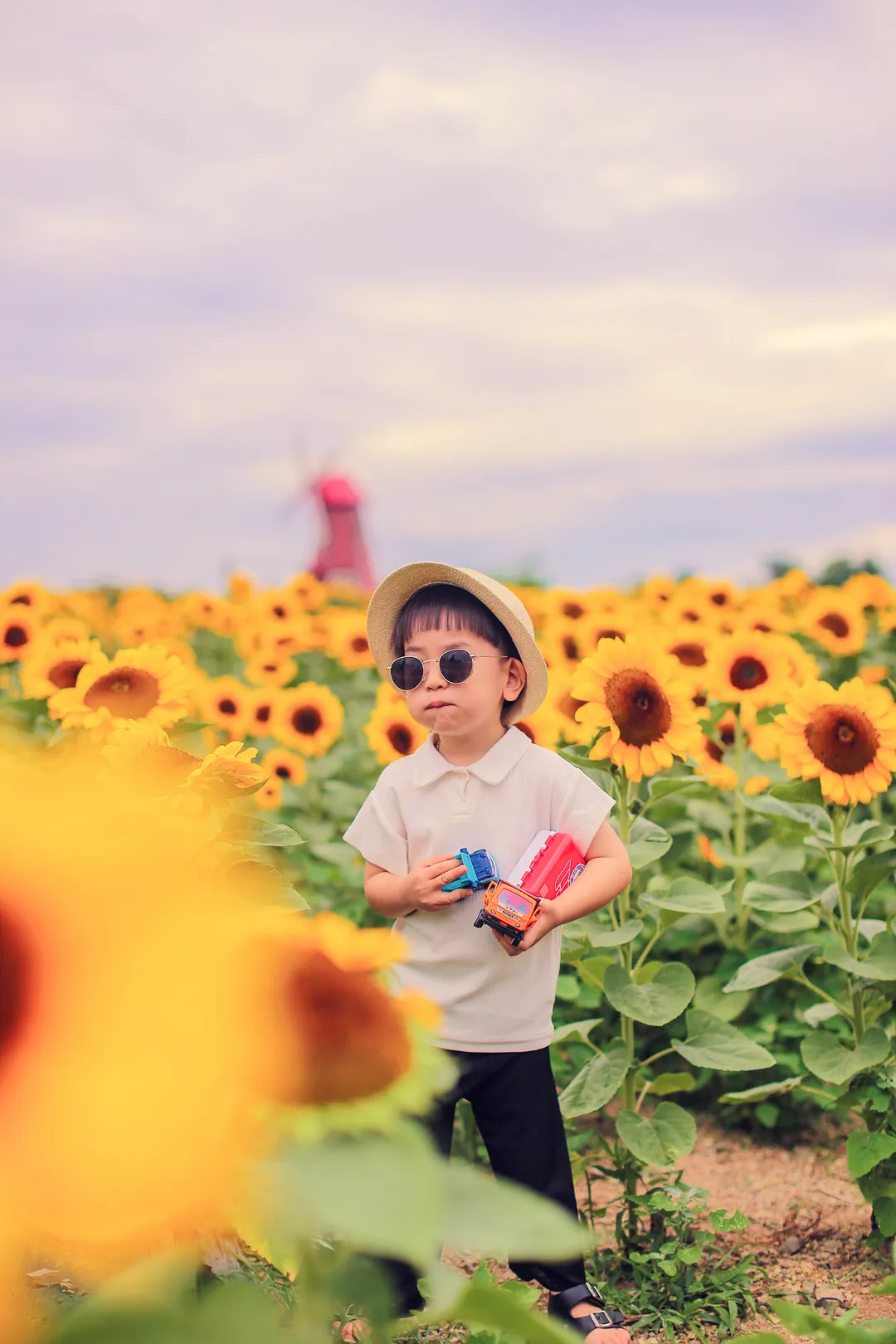 カンジュヒマワリマウル 写真 7