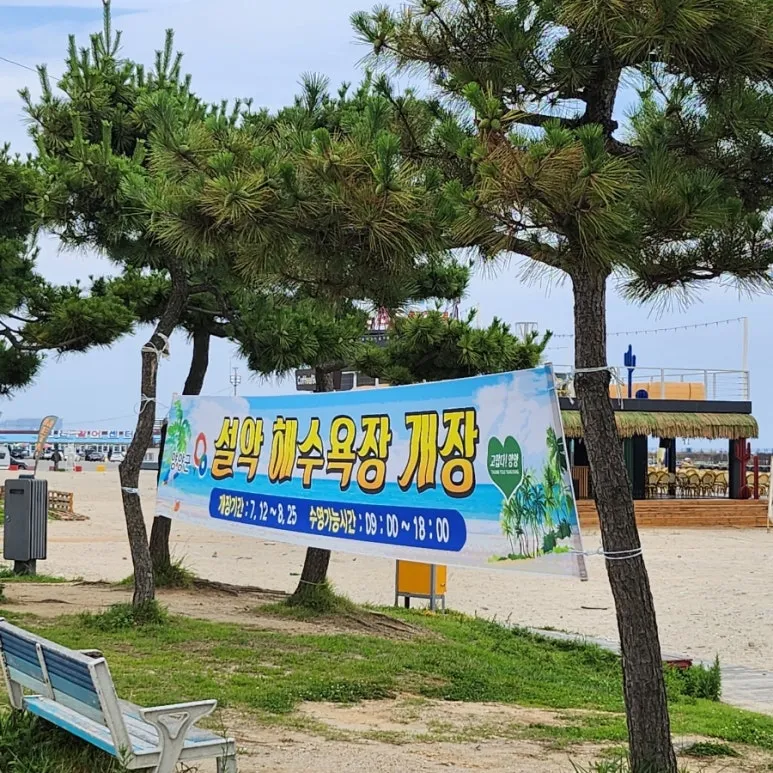 설악해수욕장 사진 8