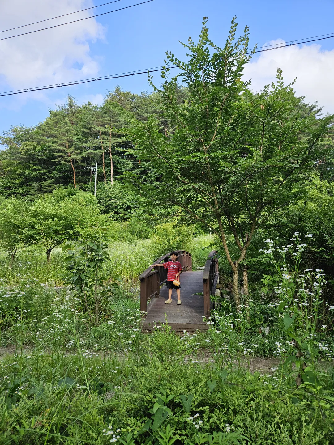 Holocene Ecological Conservation Research Institute photo 6