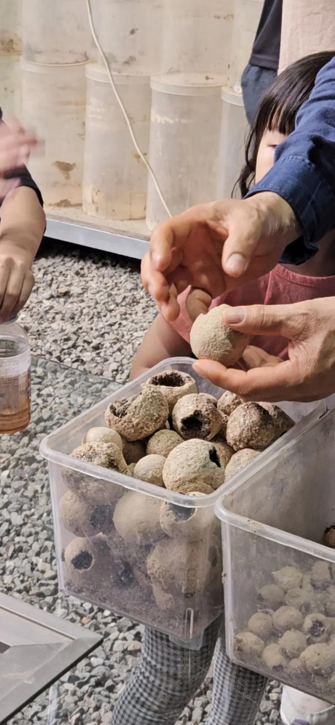 Holocene Ecological Conservation Research Institute photo 9