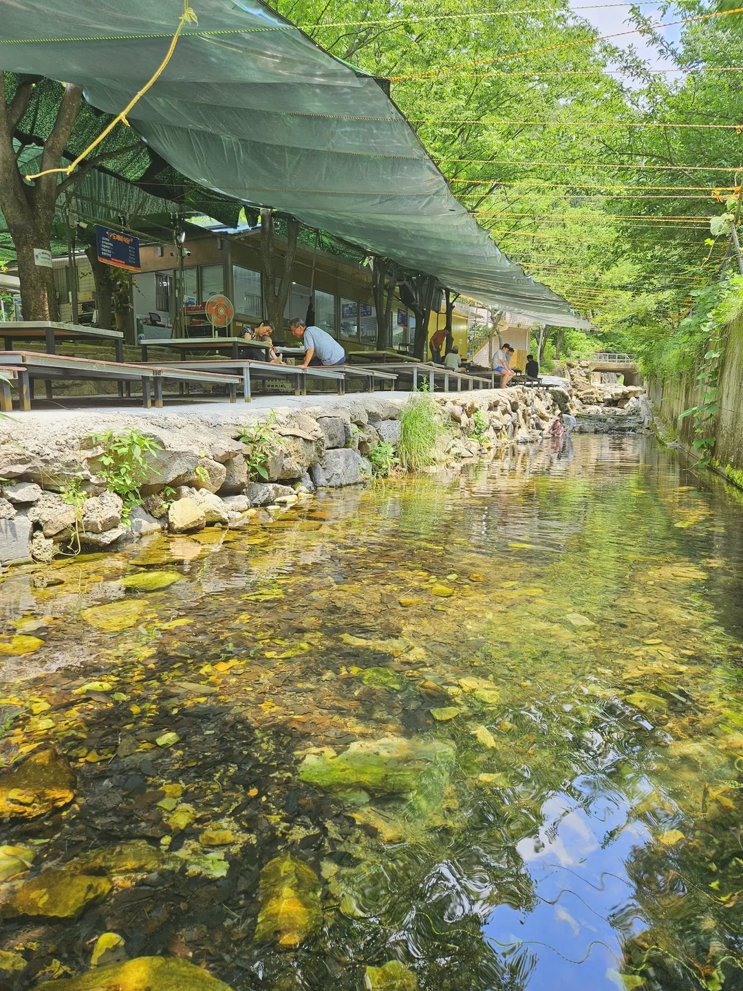 トッケビ食堂 写真 13