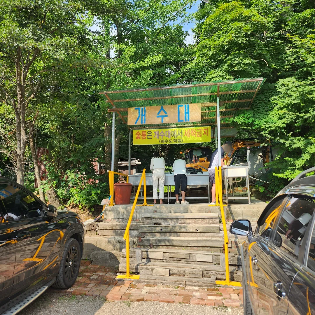 그랜드유원지 사진 19