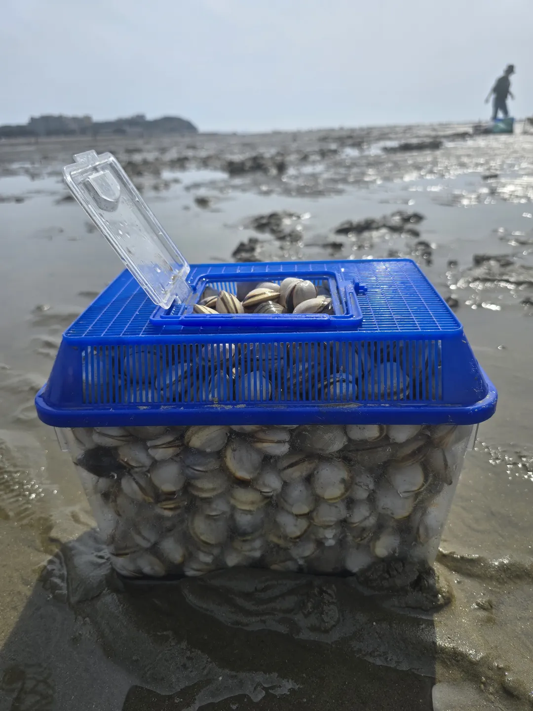 Jinsan-ri Fishing Community Happiness Mart photo 12