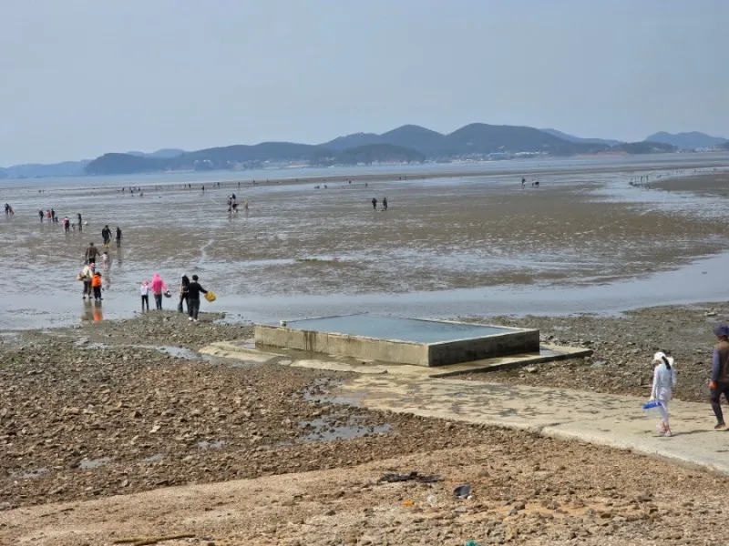 Jinsan-ri Fishing Community Happiness Mart photo 9