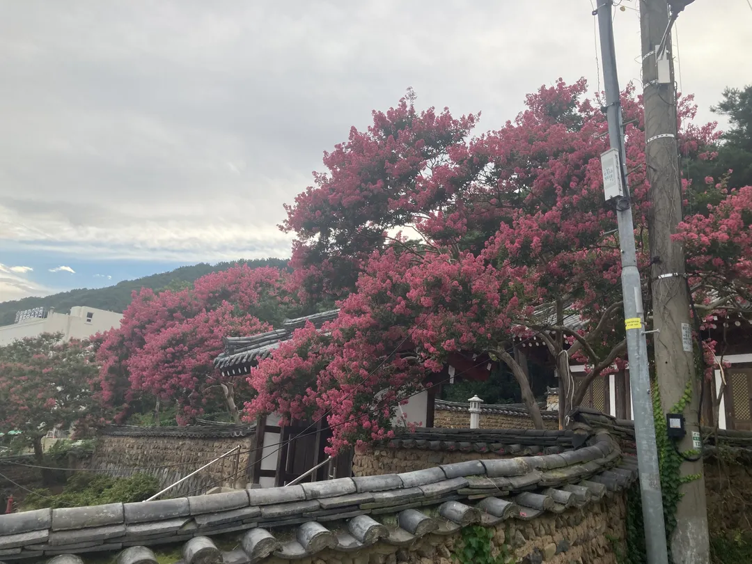 서계서원 사진 9