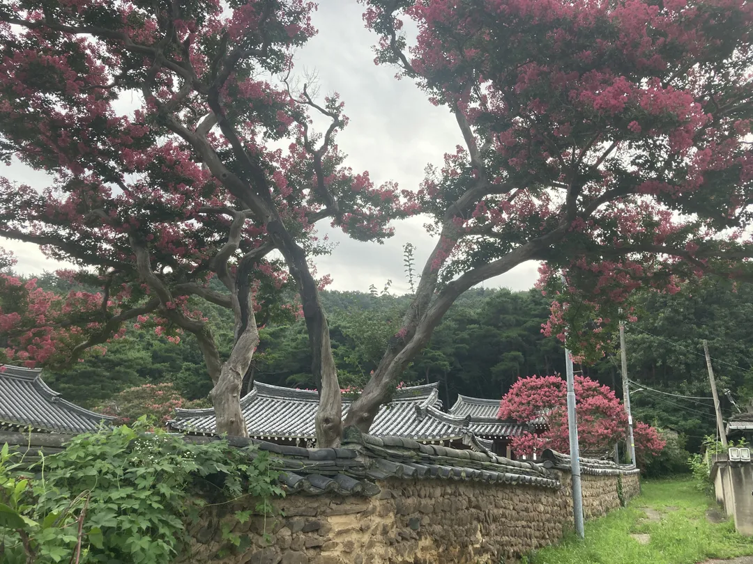 서계서원 사진 8