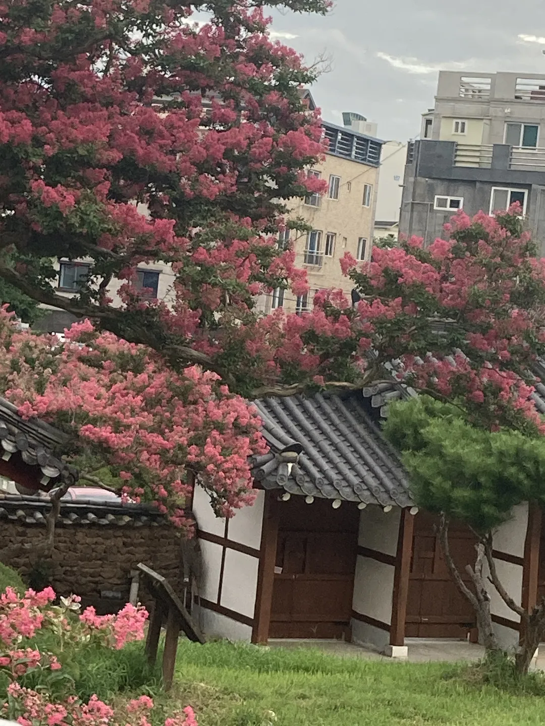 서계서원 사진 7