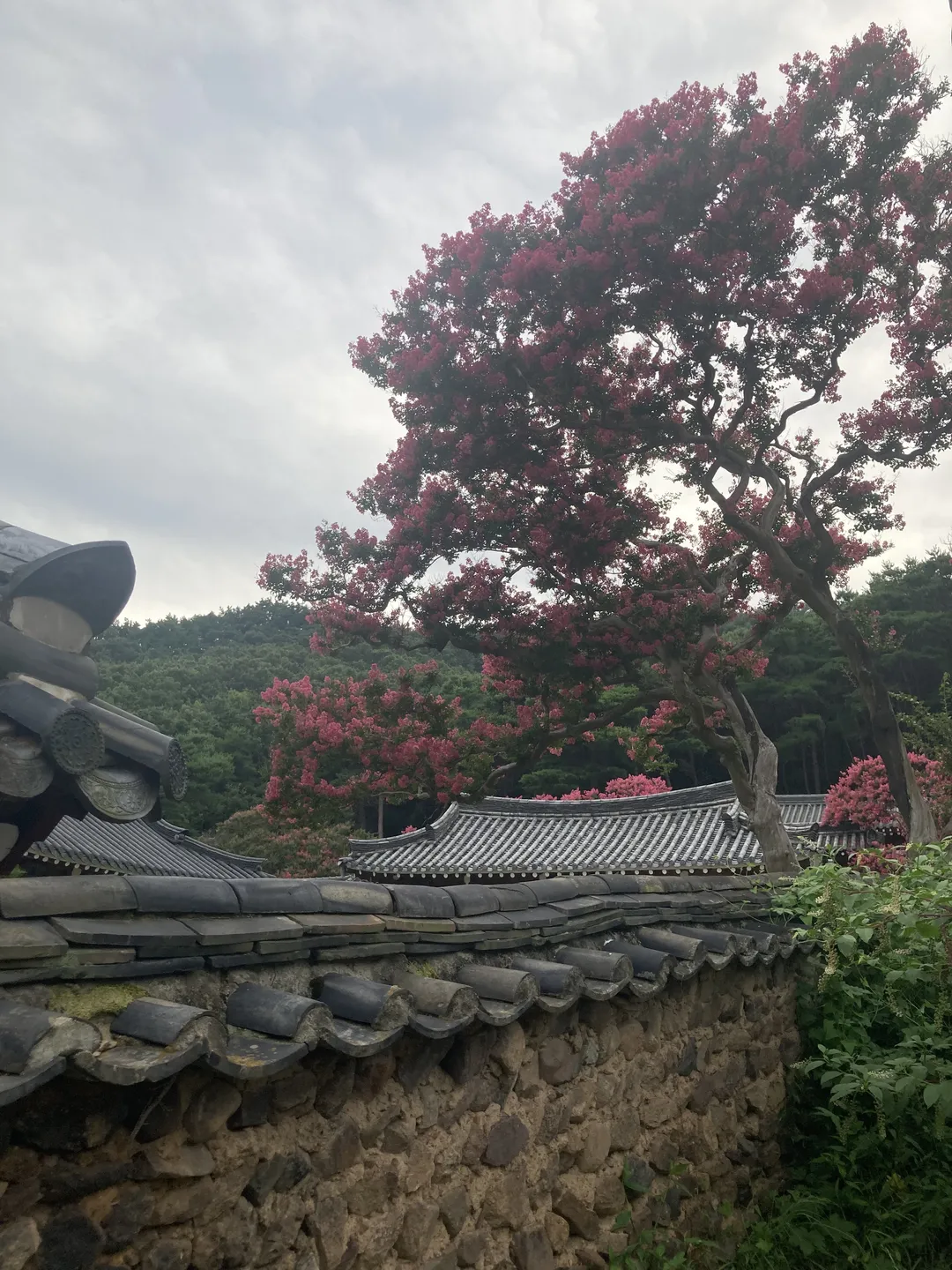 서계서원 사진 11