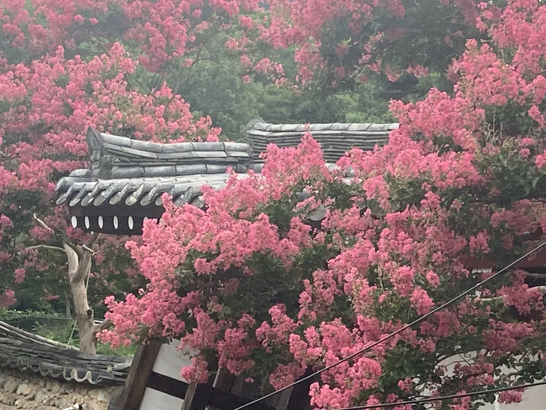 서계서원 사진 12