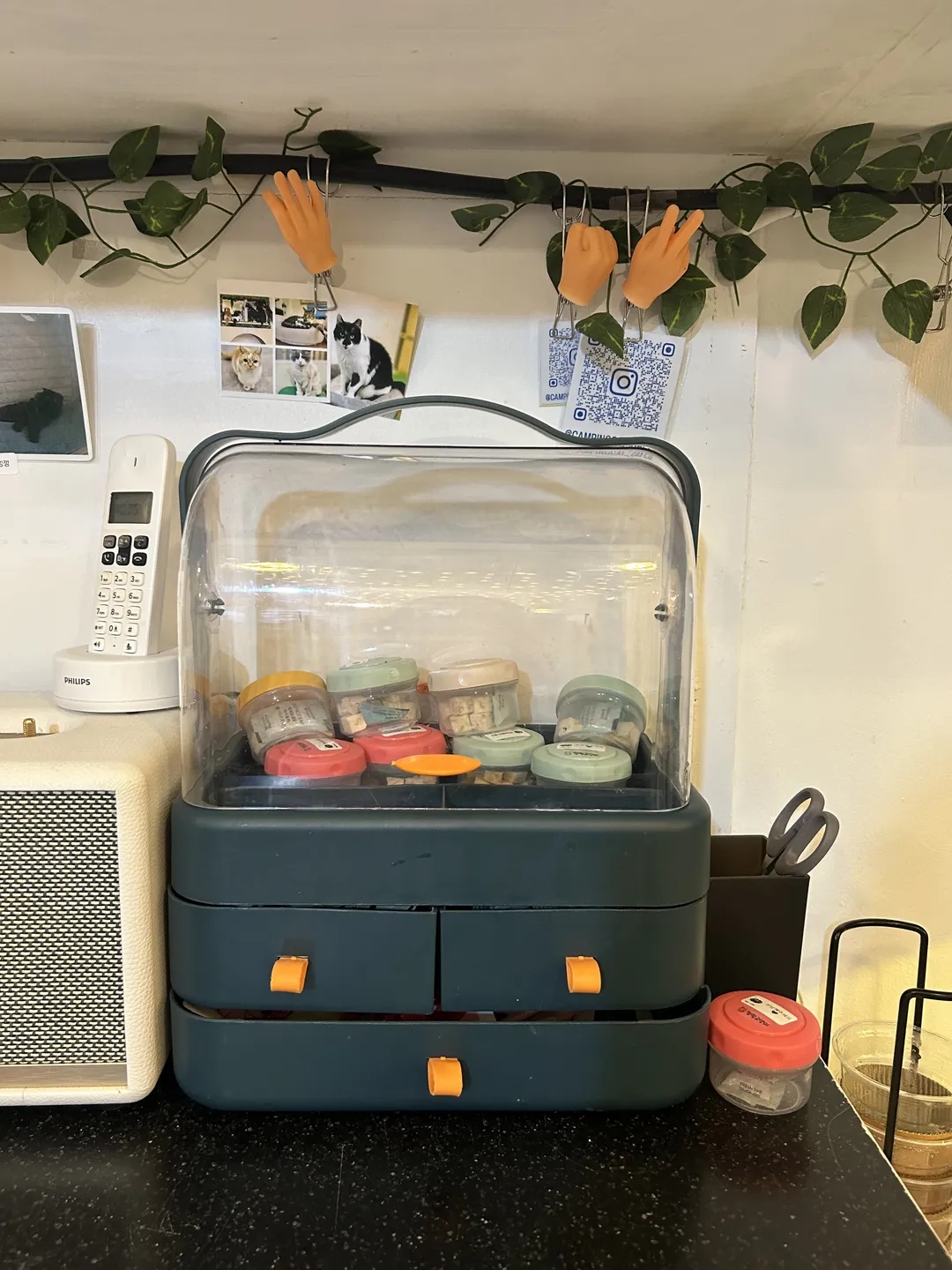 Camping Cat Cafe Seolleung Branch photo 9