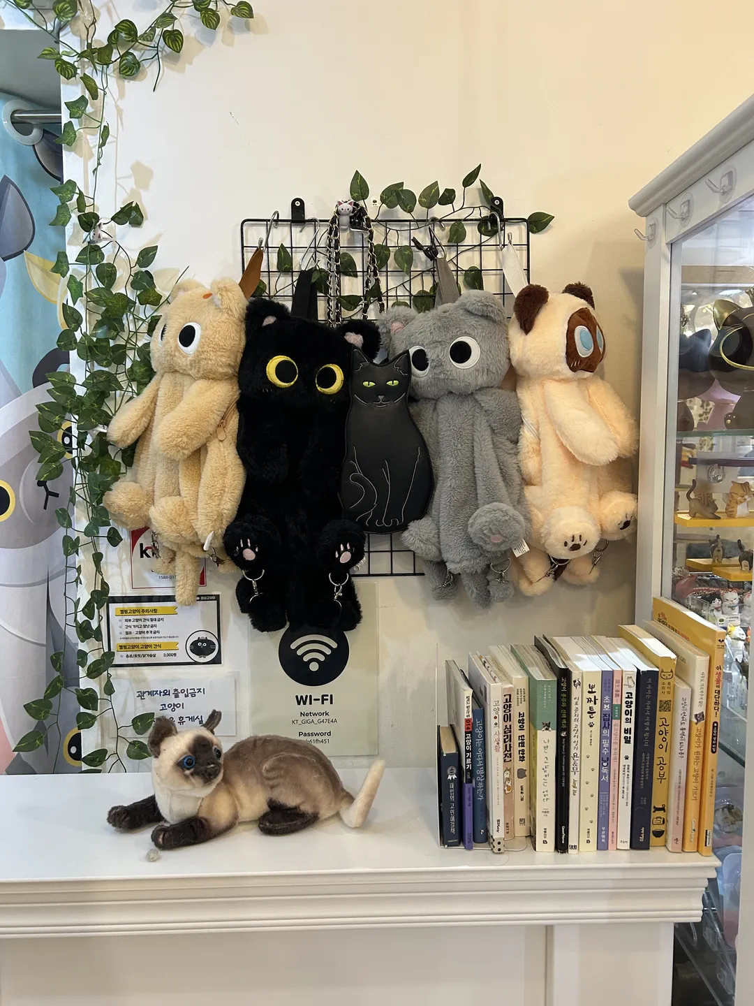 Camping Cat Cafe Seolleung Branch photo 6