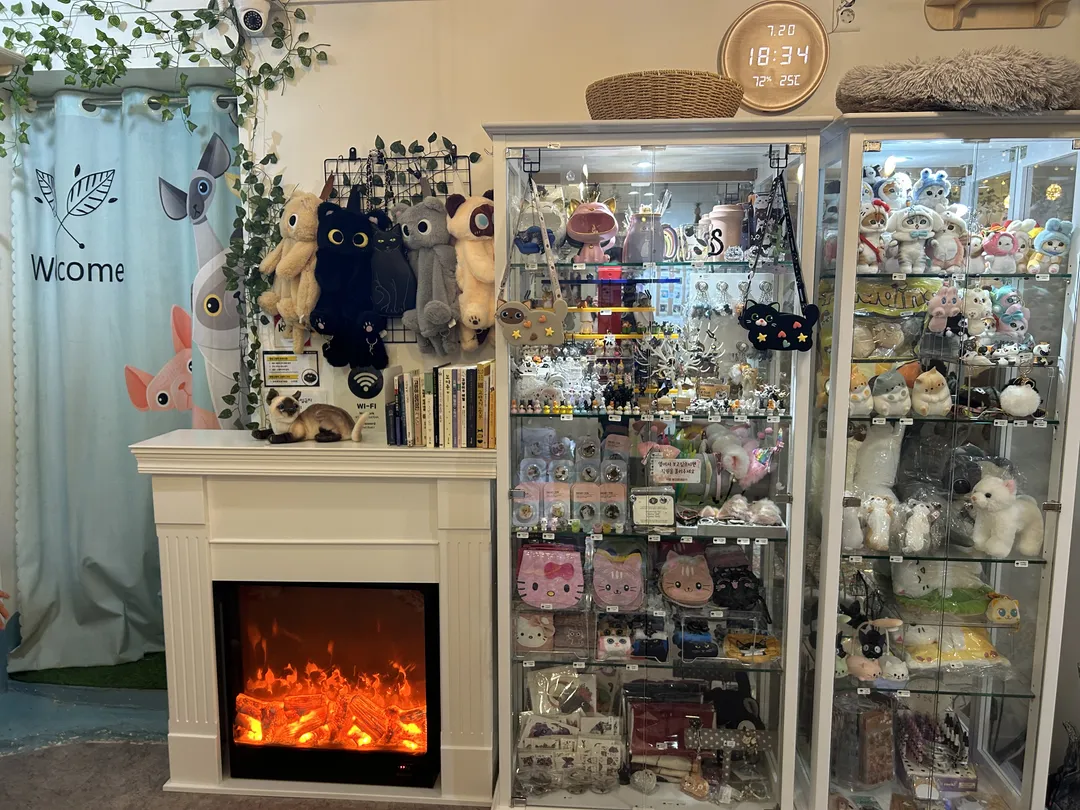 Camping Cat Cafe Seolleung Branch photo 7