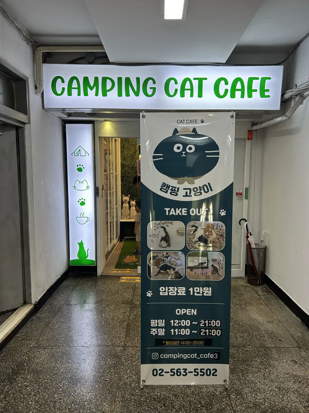 Camping Cat Cafe Seolleung Branch photo 13