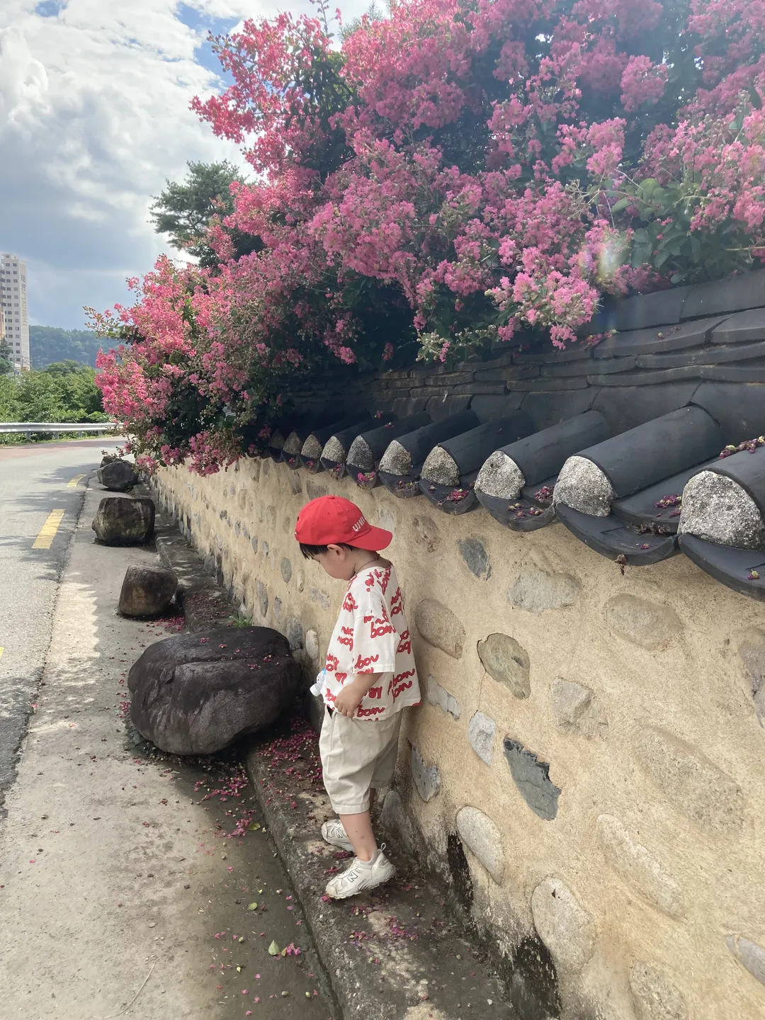 신숭겸장군유적지