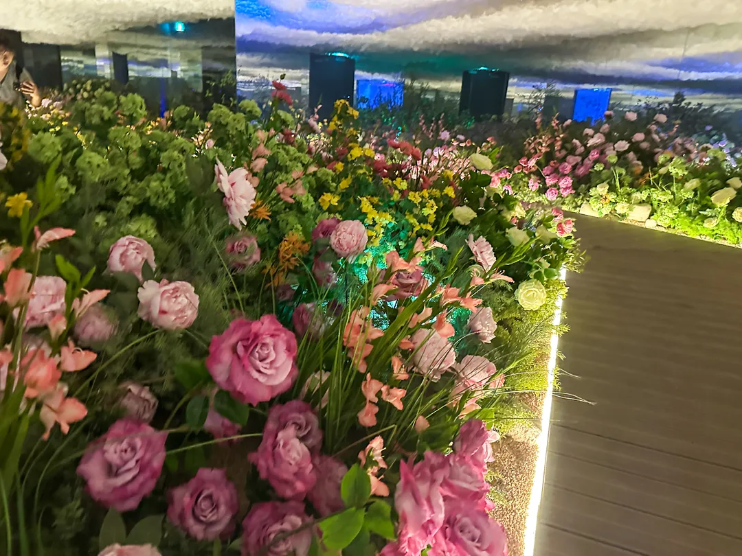 워터월드 제주 사진 32