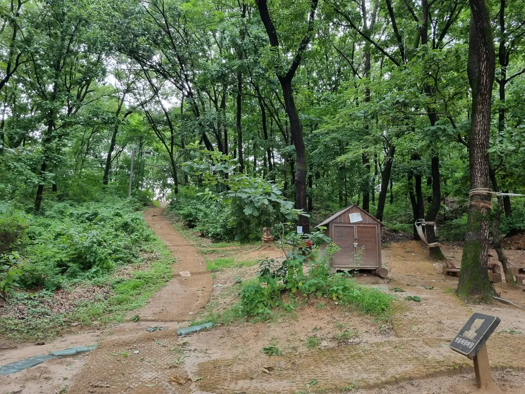 Byeollae Children's Forest Experience Center photo 14