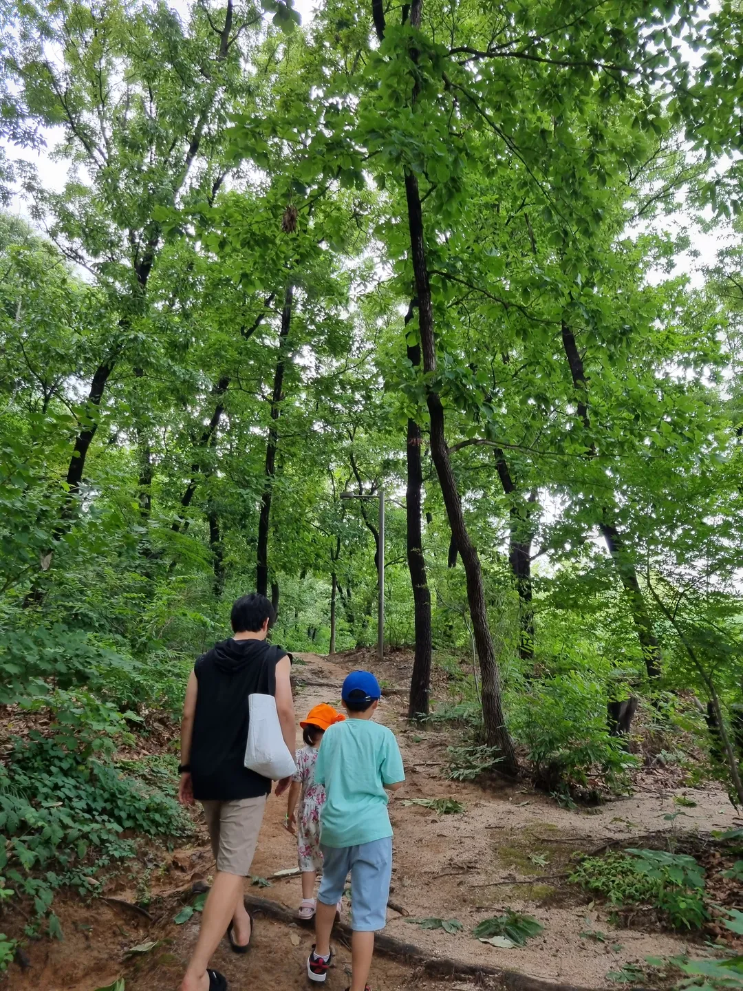 Byeollae Children's Forest Experience Center photo 9
