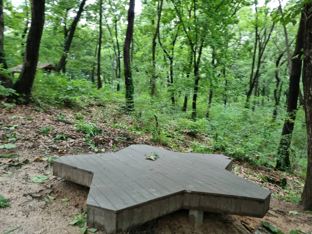 Byeollae Children's Forest Experience Center photo 10