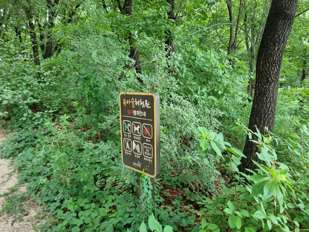 Byeollae Children's Forest Experience Center photo 16