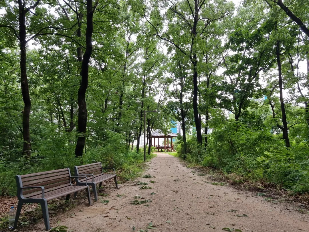 Byeollae Children's Forest Experience Center photo 13