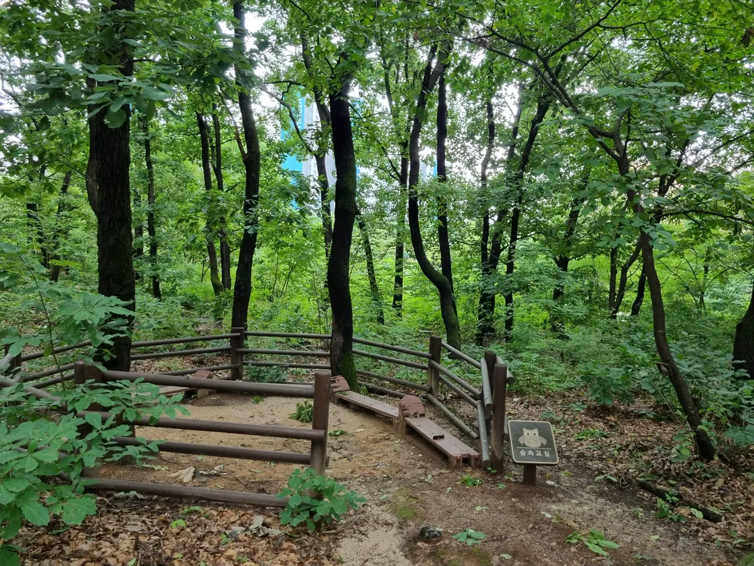 Byeollae Children's Forest Experience Center photo 12